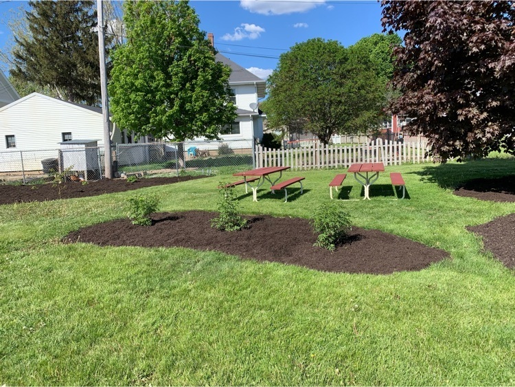 garden 3